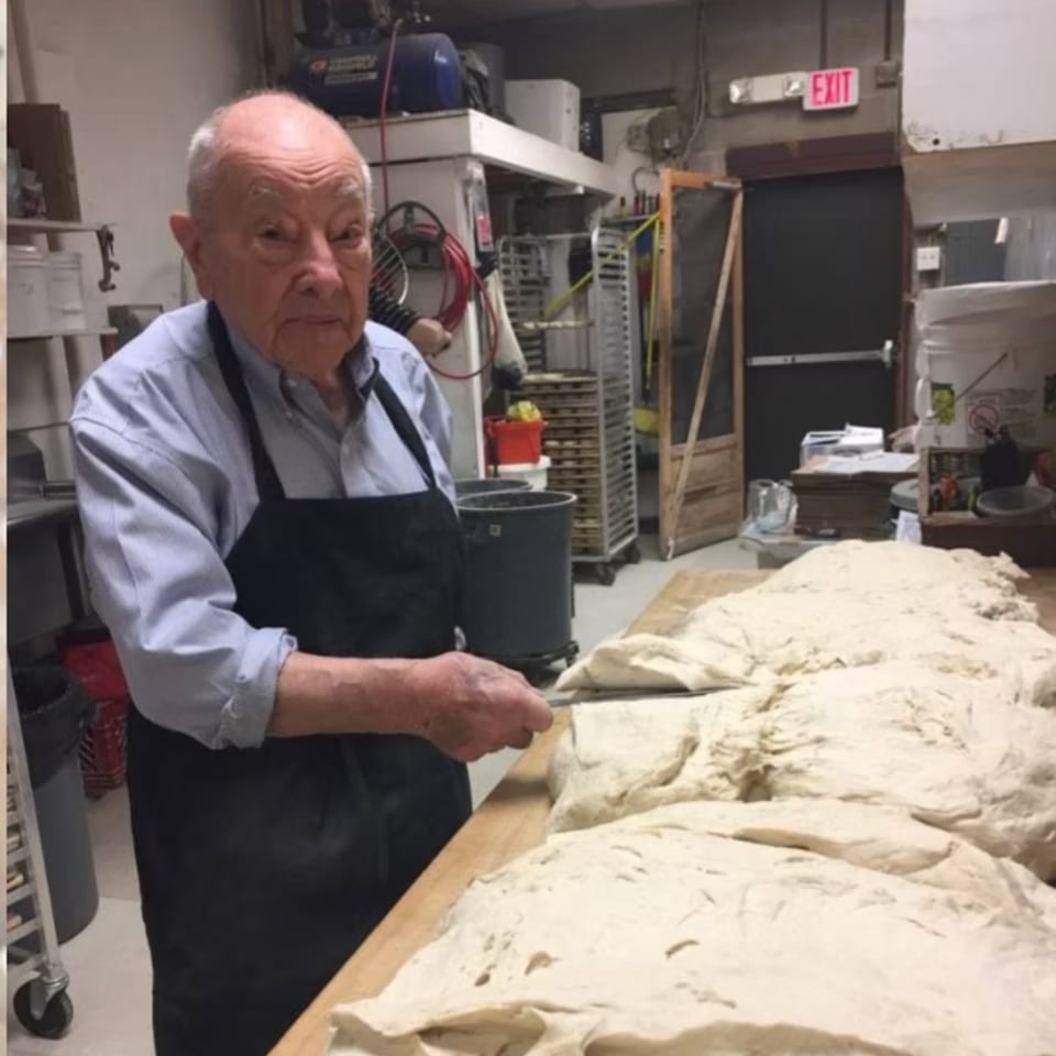 Gallery item 1
